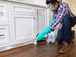 Best Real Estate Pest Inspections  in Chula Vista, CA